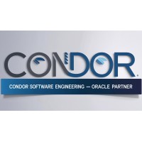 CONDOR SOFTWARE ENGINEERING logo - Similar company to Condor Solutions