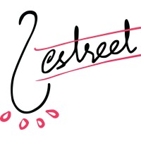 Zestreet logo - Similar company to Sandrocottus Technologies