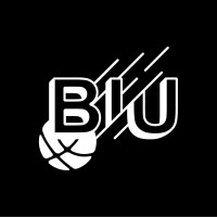 BIU Camp logo - Similar company to Ashco Exteriors