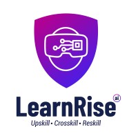 Learn-rise logo - Similar company to Learn N Rise