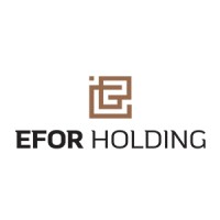 Efor Holding logo - Similar company to Layer Studio