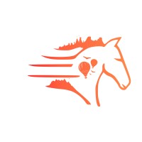 Hangout Cappadocia Travel logo - Similar company to Cappadocia Journal Of Area Studies (Cjas)