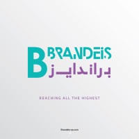 Brandeis Agency logo - Similar company to Shield Risk Consulting