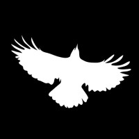 Crafty Crow logo - Similar company to Cmo Outsourced