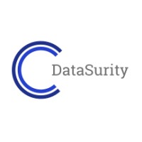 DataSurity logo - Similar company to Tradewinds Technology Brokerage