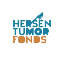 Stichting Hersentumorfonds logo - Similar company to Stichting Ventoux3