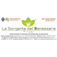 LA SORGENTE DEL BENESSERE SRL logo - Similar company to Ischia Sorgente Di Bellezza Srl