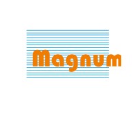 Magnum Telesystems Pvt. Ltd. logo - Similar company to Nebula Infomatique Pvt Ltd