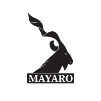 Mayaro logo - Similar company to Class One Systems Limited