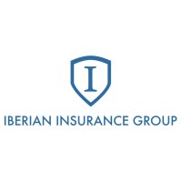 IBERIAN Insurance Group logo - Similar company to Colegio de Mediadores de Seguros de Asturias