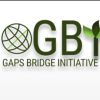 Gaps Bridge Initiative logo - Similar company to Noblia Solution
