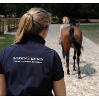 Emerson & Watson Equine Veterinary Surgeons logo - Similar company to Rizing-Up