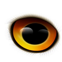 BETAOWL IT STUDIO PRIVATE LIMITED logo - Similar company to First Object India