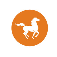 AMIFA MALI logo - Similar company to Amifa Côte D'Ivoire