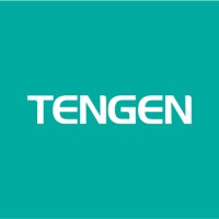 TENGEN Electric logo - Similar company to Dvolt