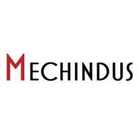 MECHINDUS logo - Similar company to Hippocloud