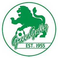 Green Gully Soccer Club Ltd logo - Similar company to Preston Lions Football Club