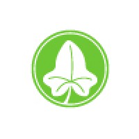 Hedera Technology