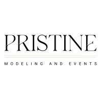 Pristine Models logo - Similar company to Hsg Properties