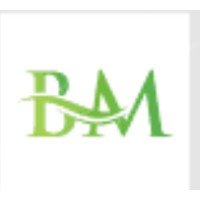 Bm group sarl logo - Similar company to E2Js