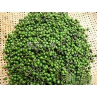 Guizhou Housheng Chem Co.,Ltd. logo - Similar company to Reap Chemical Ltd