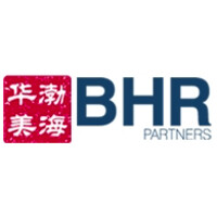 BHR Partners logo - Similar company to D2 Intelligence