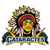 Cataractes de Shawinigan logo - Similar company to Rouyn-Noranda Huskies