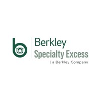 Berkley Specialty Excess (a Berkley Company) logo - Similar company to Flex Embedded