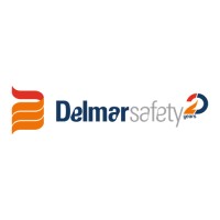 DELMAR SAFETY logo - Similar company to Survitec Group Ltd.