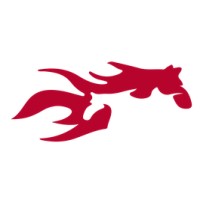 Mustang Strategy logo - Similar company to Anothertrail