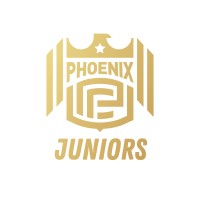 Phoenix Juniors Academy logo - Similar company to Thackley Association Football Club