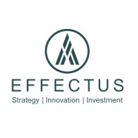 EFFECTUS logo - Similar company to Bifasor