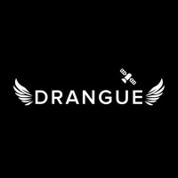 Drangue logo - Similar company to Systemsage Solutions