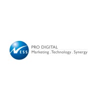 NessPro Digital logo - Similar company to Capito Ltd.