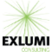 Exlumi Consulting logo - Similar company to Fredsted Consulting Aps