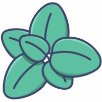 Alsafa Herb logo - Similar company to Spice Home For Import And Export