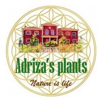 Adriza´s Plants logo - Similar company to Vivers Planas
