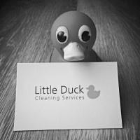 Little Duck Cleaning Services logo - Similar company to A. Recruiting
