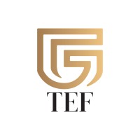 The Egyptian Foundation - TEF logo - Similar company to Info-Eg.Com