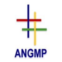 ANGMP Interiors logo - Similar company to Zenith Smart Group