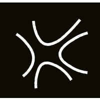 Blackstar Digital Group logo - Similar company to Reaction Lab