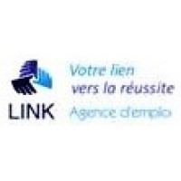 LINK INTERIM