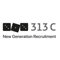 313C logo - Similar company to Interim Management Solution
