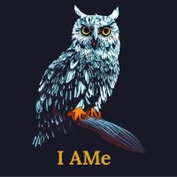 I Ame - Coach By Nature