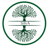 MJE SilvA logo - Similar company to Mje Step