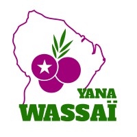 YANA WASSAI logo - Similar company to Sensorys