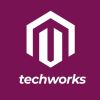 TechWorks logo - Similar company to Tech Sirius