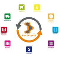 Datamex Paraguay logo - Similar company to Datamex