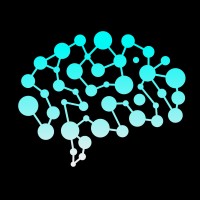 Career Insight logo - Similar company to Spiderdynamics