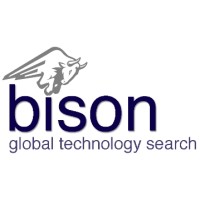 Bison Global Technology Search logo - Similar company to Bison Group